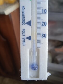 IMG_20240729_203436.jpg