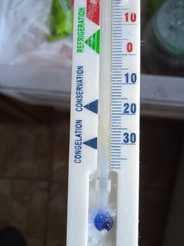 IMG_20240805_062241.jpg