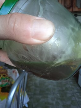 IMG_20240805_062813.jpg
