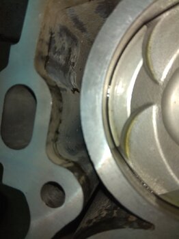 IMG_20240808_201236.jpg
