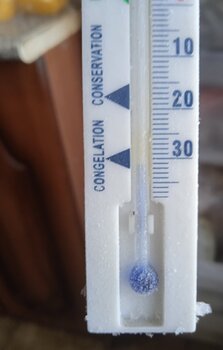 IMG_20240820_071357.jpg