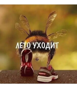 IMG_5751.jpeg