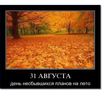 IMG_5752.jpeg
