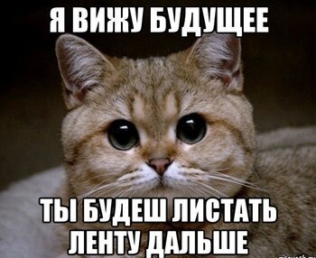 pidrila-ebanaya_36836786_orig_.jpeg