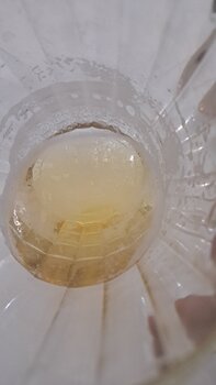 20240914_204951.jpg