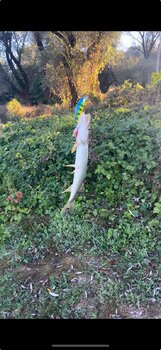 IMG_0757.jpeg