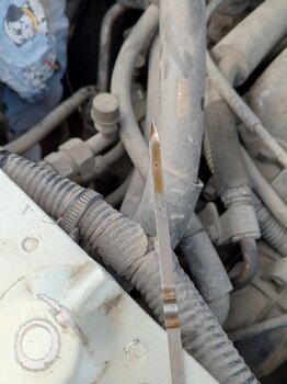 IMG_20240617_210942_497.thumb.jpg.d30cbd8893a3fed19e85b8955b8ff18b.jpg