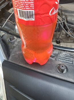 IMG_20240901_111935.jpg