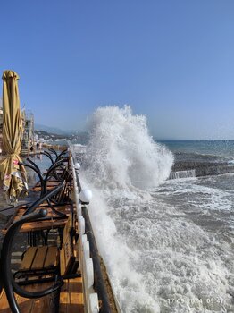 IMG_20240917_094226.jpg