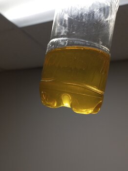 20241006_193537.jpg