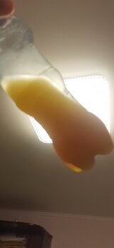 20241019_130531.jpg
