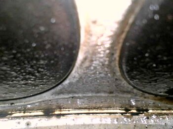 20241025_101046.jpg