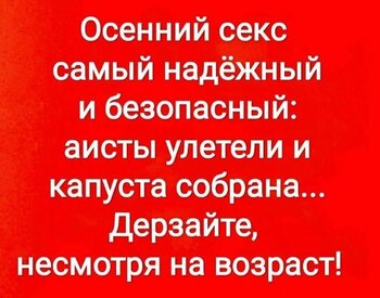62.jpg