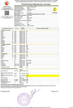 Протокол испытаний № 2913_26 от 23.07.2024 копия.jpg