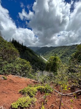 IMG_1512.jpeg