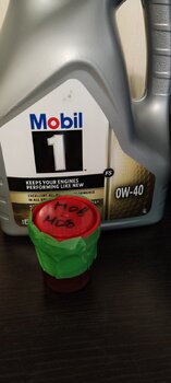 IMG_20240912_073932.jpg