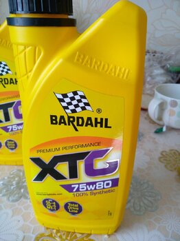 IMG_20241005_120328.jpg