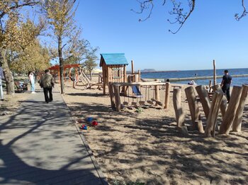 IMG_20241006_121724.jpg
