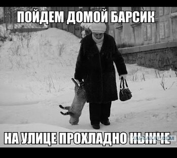 IMG_6374.jpeg