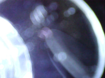 20241109_16_13_19.png
