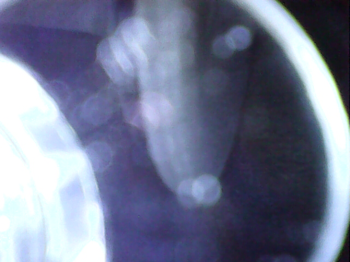 20241109_16_13_43.png