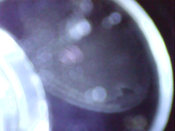 20241109_16_14_25.thumb.png.d28060ccaf40a31cf9d2aabf33aaff35.png