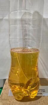 20241126_101552.jpg