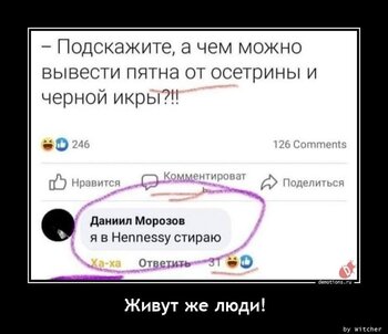 80.jpg