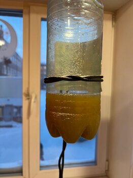 IMG_9539.jpeg