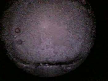 20241203_153453.jpg