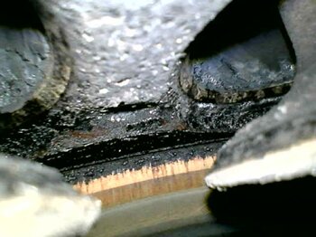 20241203_153606.jpg