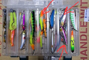 20241203_183232.jpg