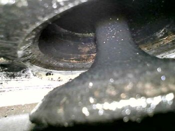 20241213_100525.jpg
