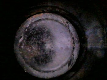 20241218_115035.jpg