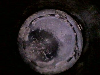 20241218_115041.jpg