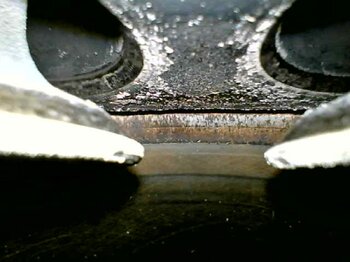 20241218_115611.jpg