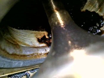 20241219_101004.jpg