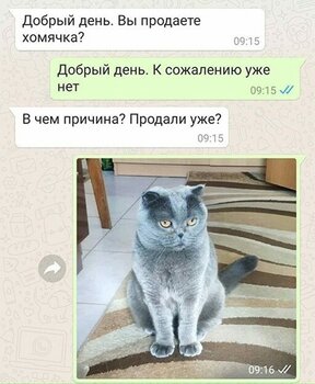 23.jpeg