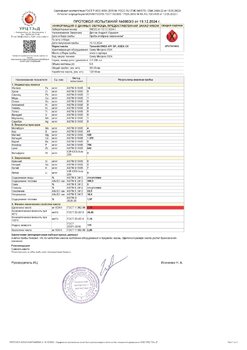 Протокол испытаний № 5803_3 от 19.12.2024.jpg