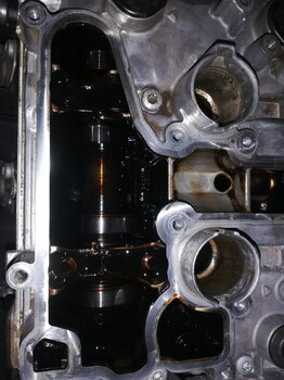 IMG_20201022_133655.jpg