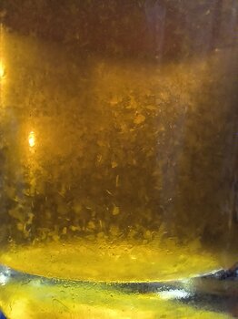 IMG_20241209_172524.jpg