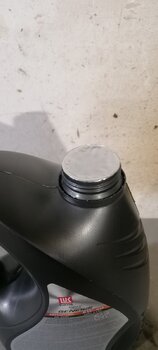 IMG_20241211_113128.jpg