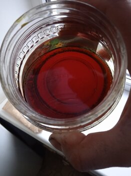 IMG_20241227_125034.jpg