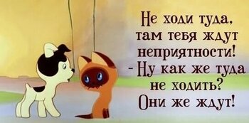 IMG_20241229_180815.jpg