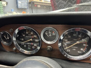 IMG_3619.jpeg