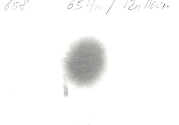 102780.jpg