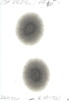 104421.14.jpg