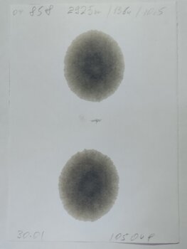 105048.4.jpg