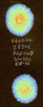 6600км_пила.jpg