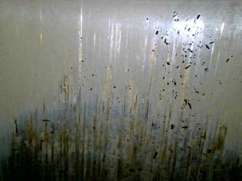20241204_115152.jpg